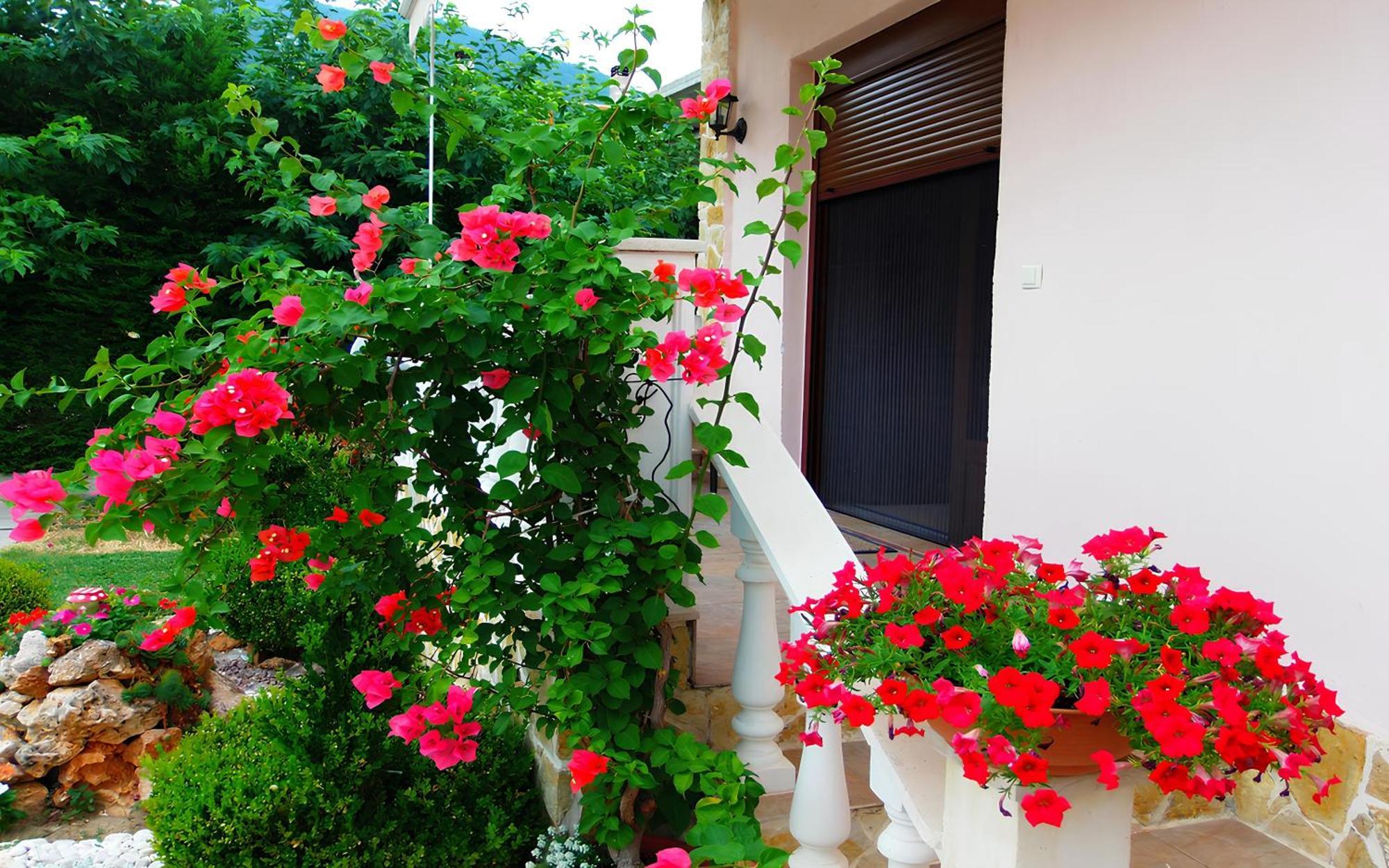Relax Pozar Hotel Loutraki  Luaran gambar